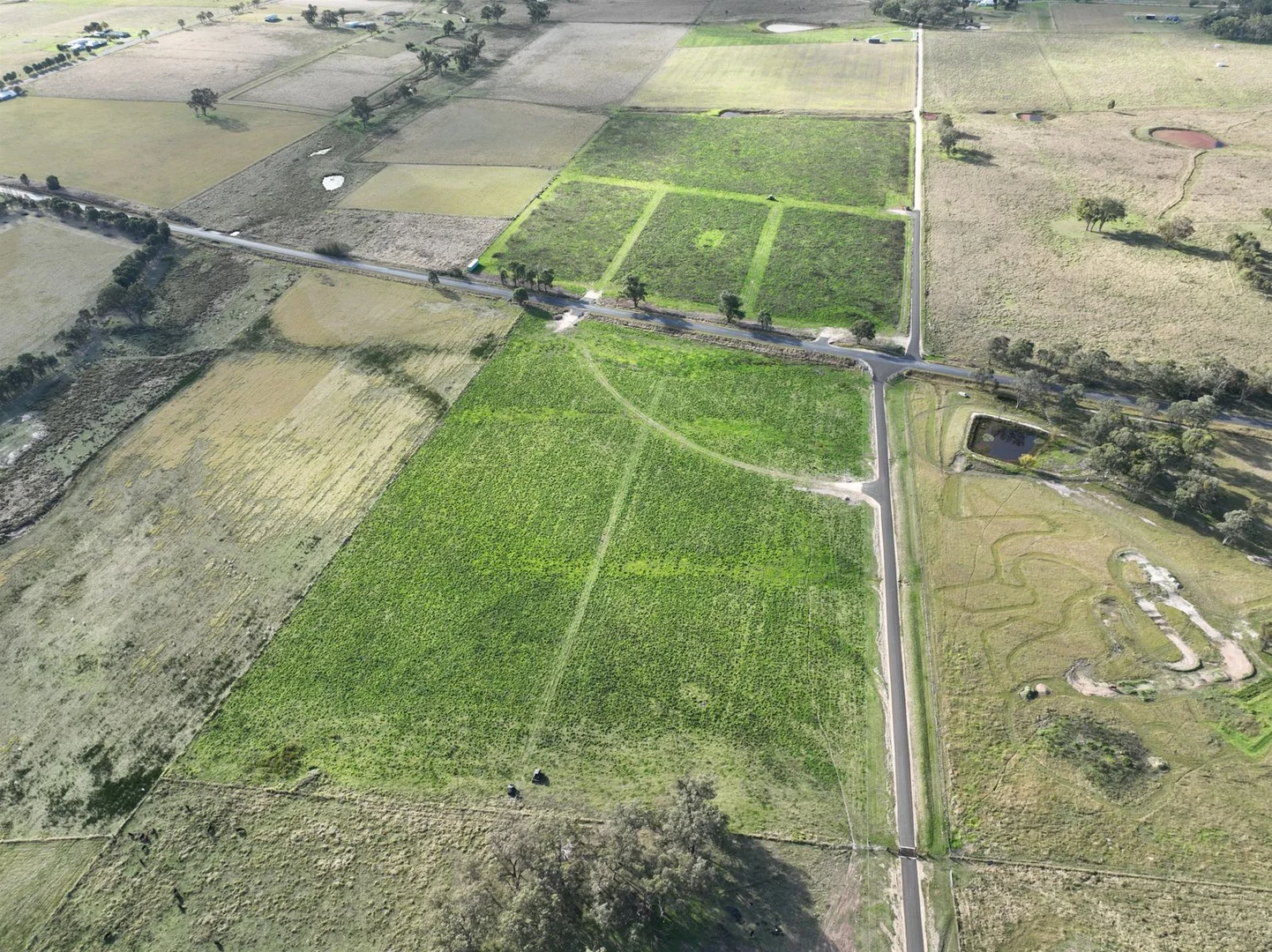 Additional image 4 of 965C Bruxner Way, Tenterfield NSW 2372