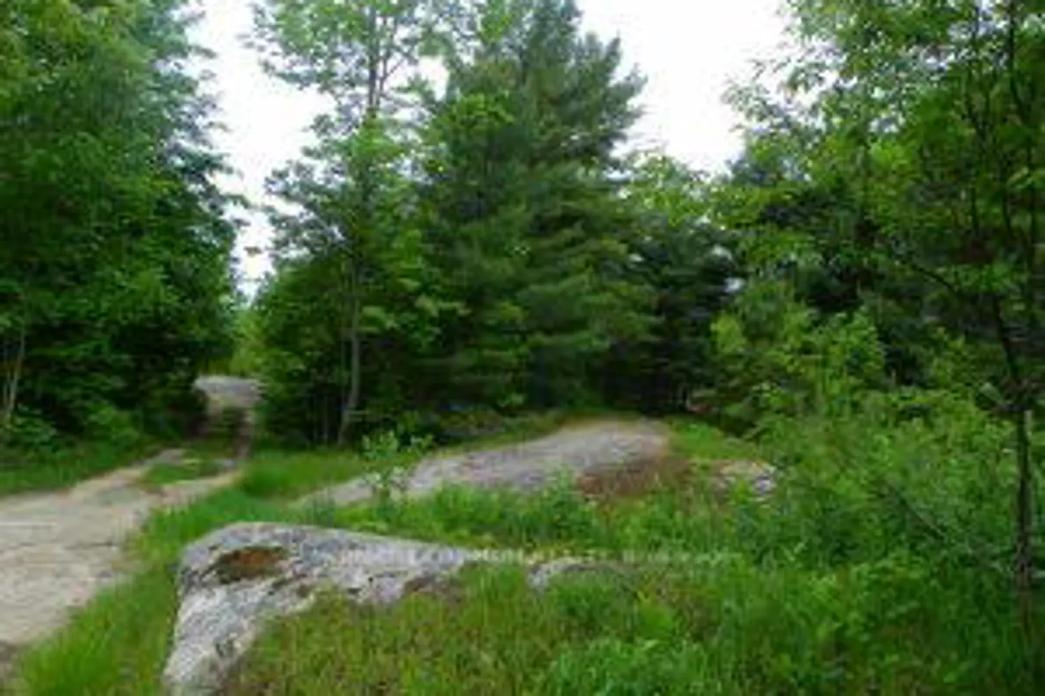 Additional image 5 of N/A N/A