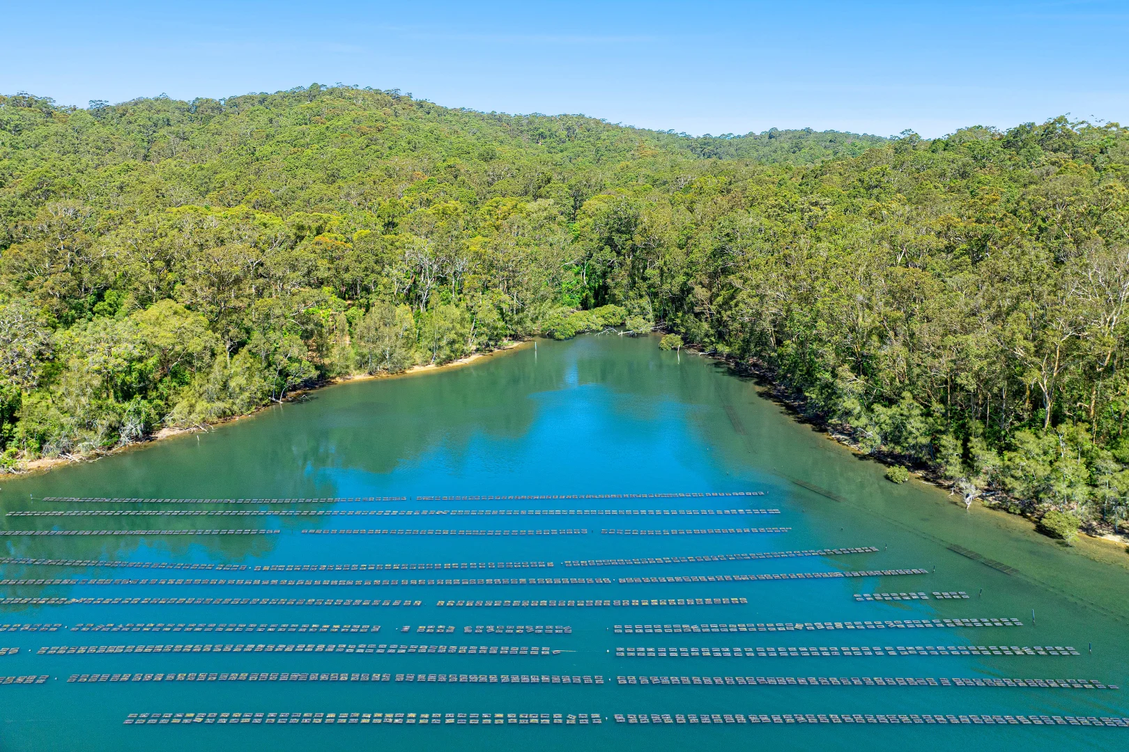 Additional image 8 of 100 Hobbs Point Road, Narooma NSW 2546