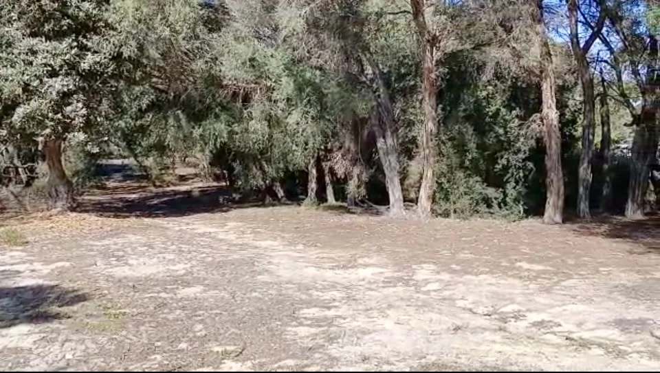 Additional image 3 of 35 Banksia Street, Loch Sport VIC 3851