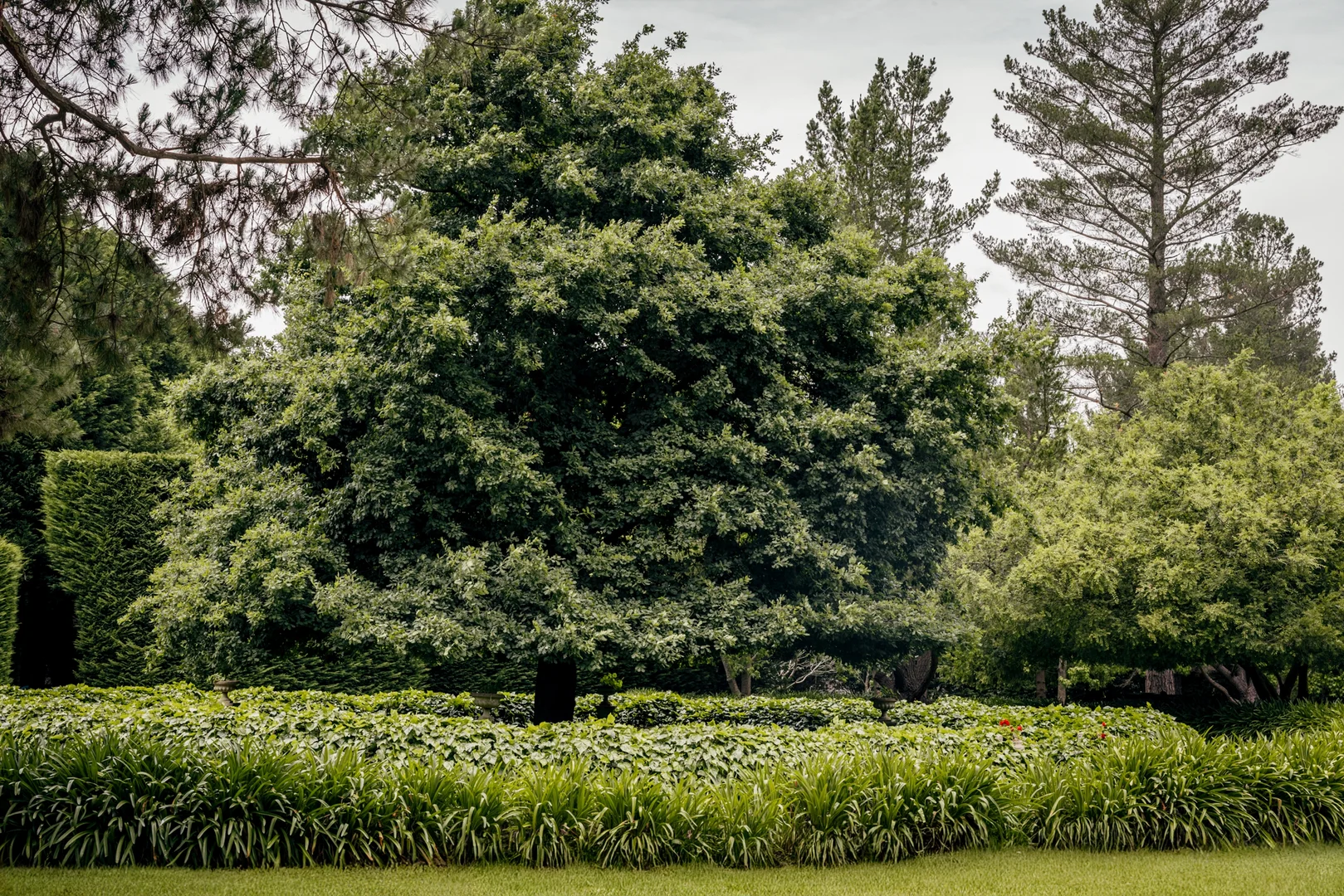 Additional image 15 of 560 Oxleys Hill Road, Berrima NSW 2577