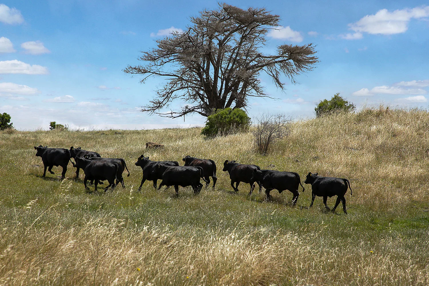 Additional image 3 of 230 Cockerills Rd, Dreeite VIC 3249