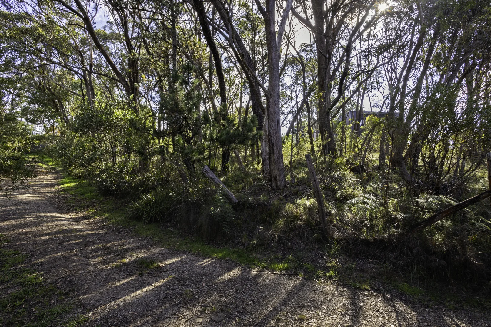 Additional image 8 of 5 Cleopatra Street, Blackheath NSW 2785