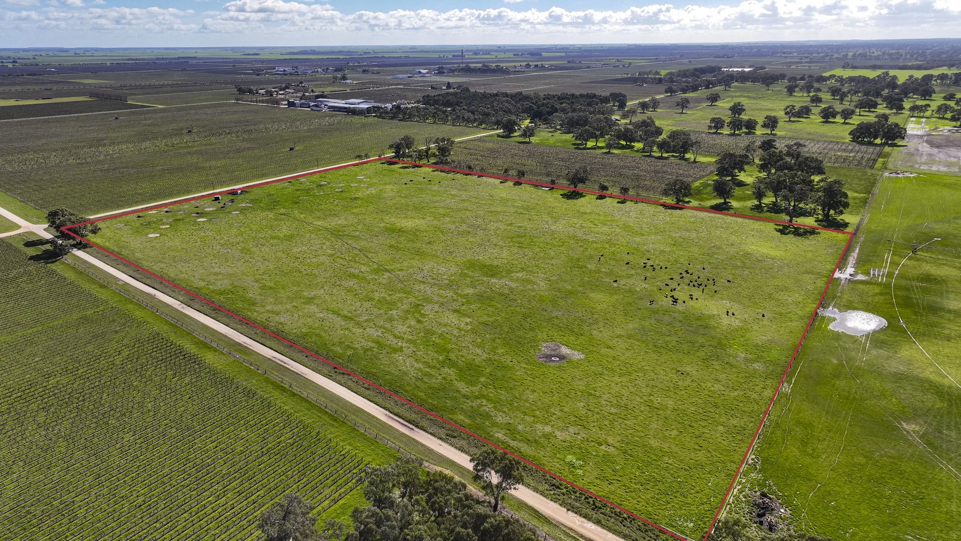 Additional image 6 of Lot 439 Richardson Road, Coonawarra SA 5263
