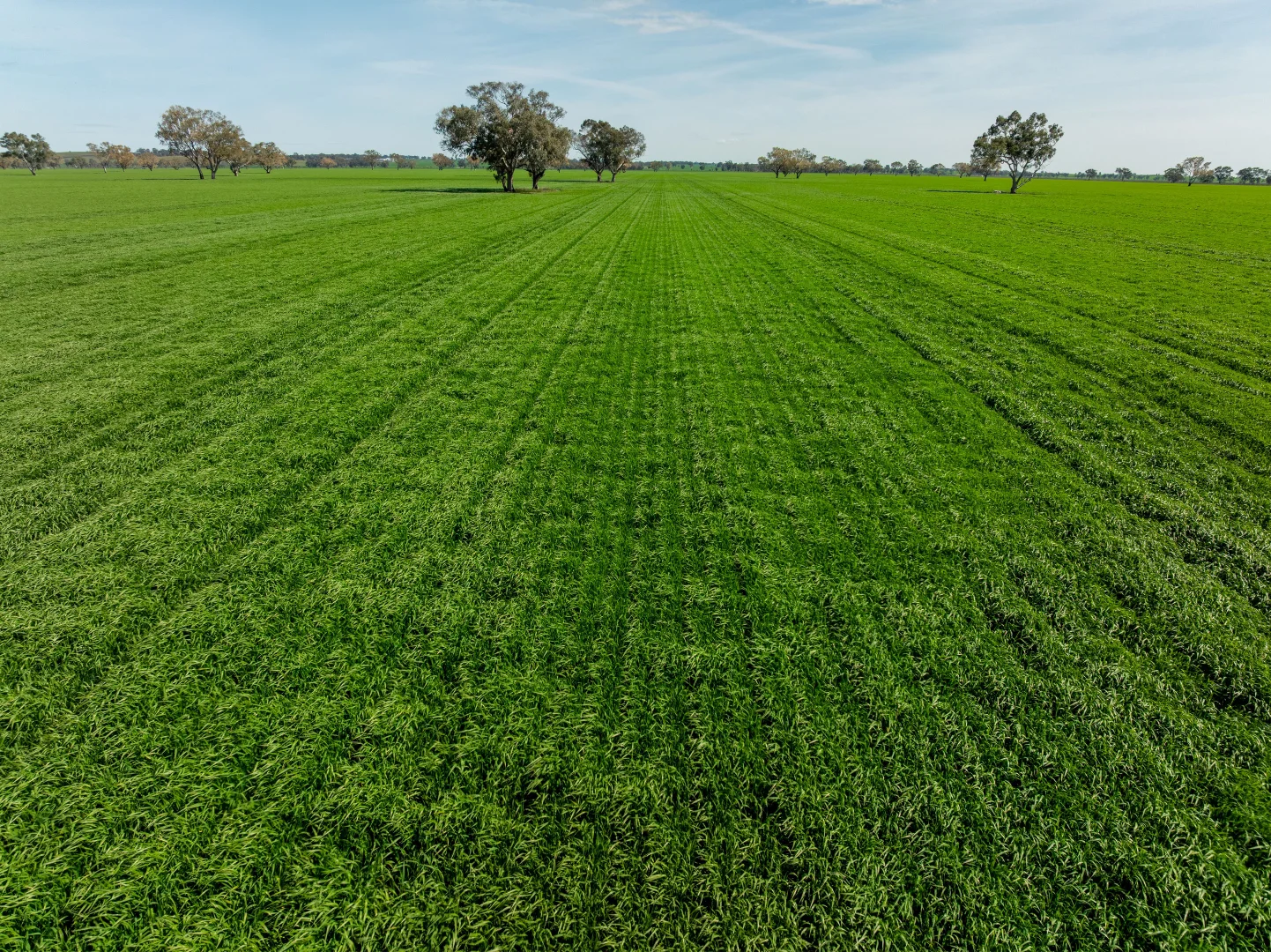 Additional image 23 of 90 Kilnyana Road, Savernake NSW 2646