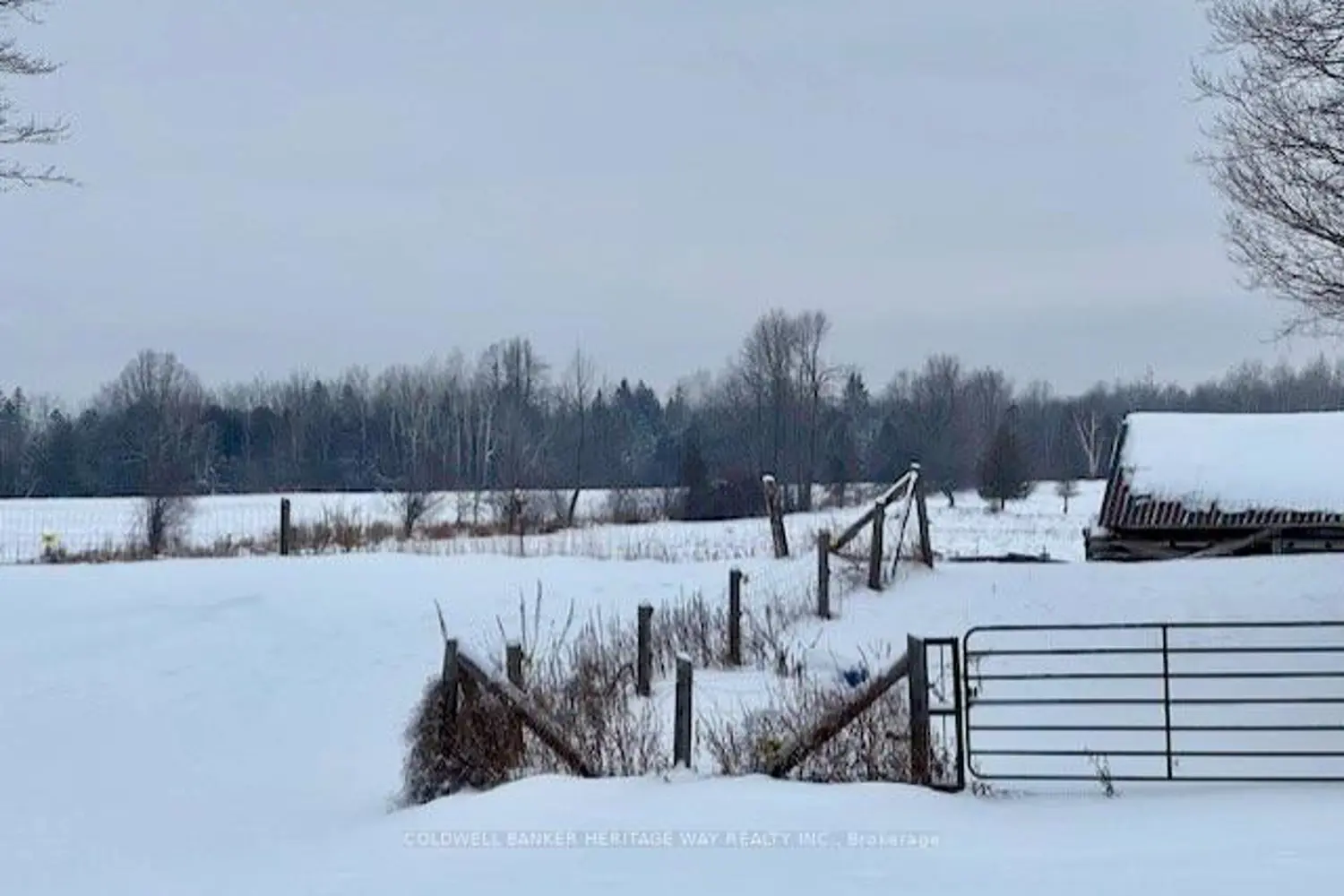 Additional image 2 of 1276 9Th Line