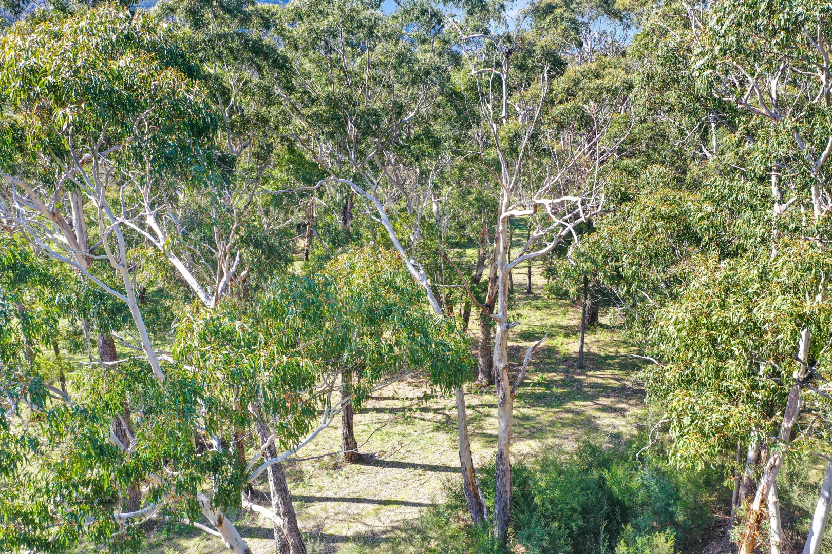 Additional image 4 of LOT 1 334-392 GRAMPIANS ROAD, Halls Gap VIC 3381