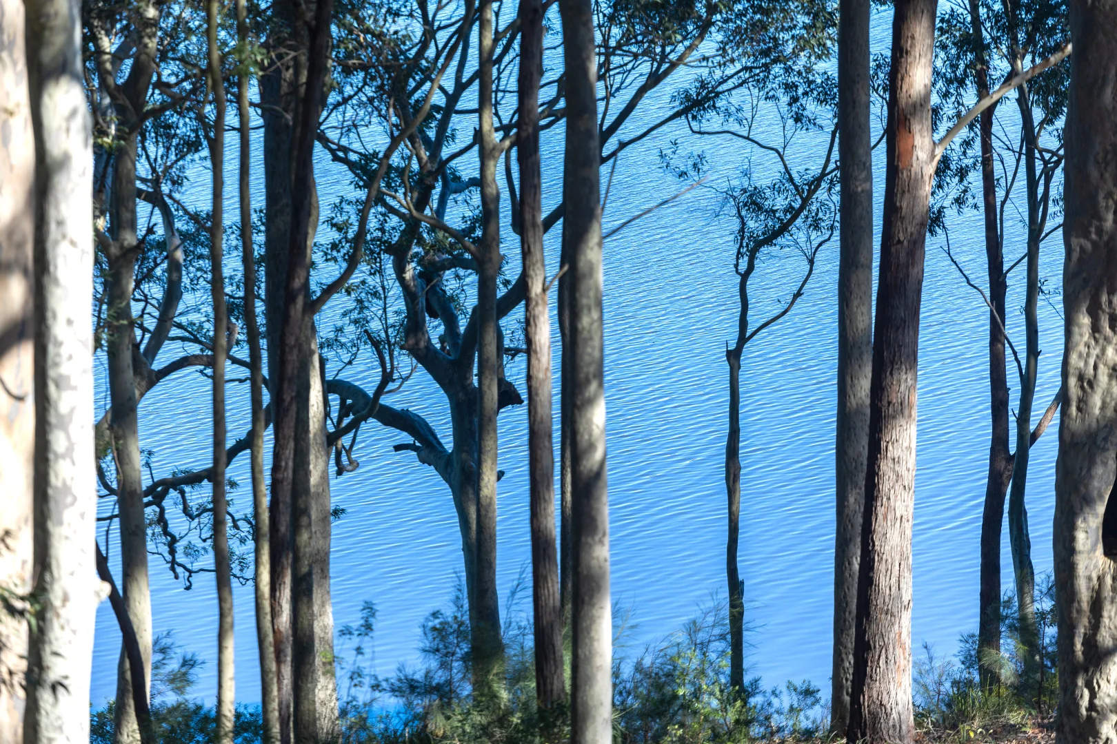 Additional image 5 of 8 William Street, Kings Point NSW 2539