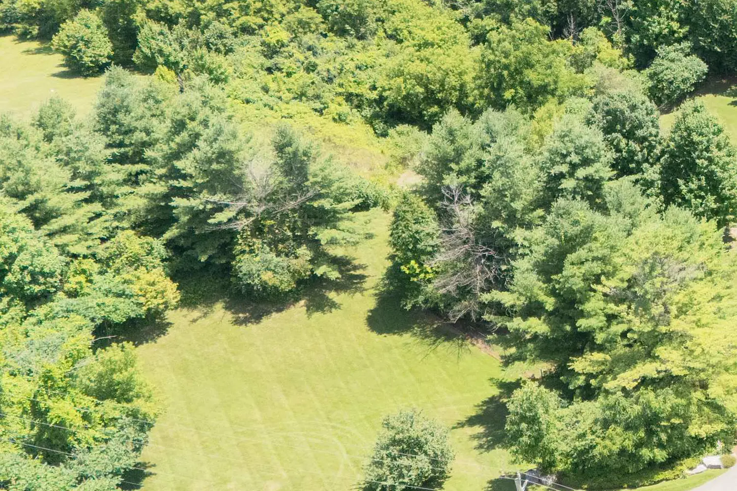 Additional image 2 of 0 Wellington Rd 36 Road