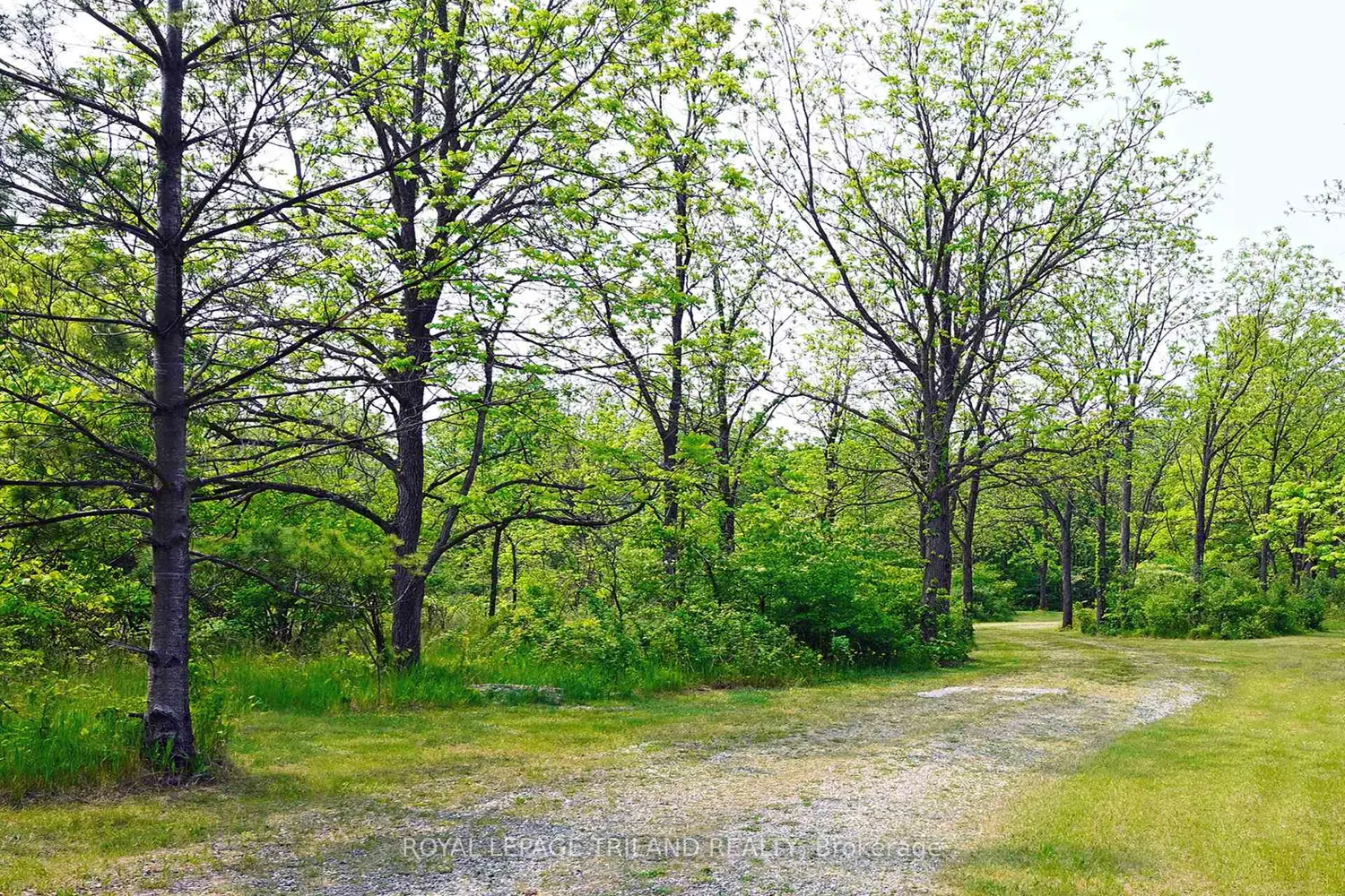 Additional image 18 of 253 Elginfield Road