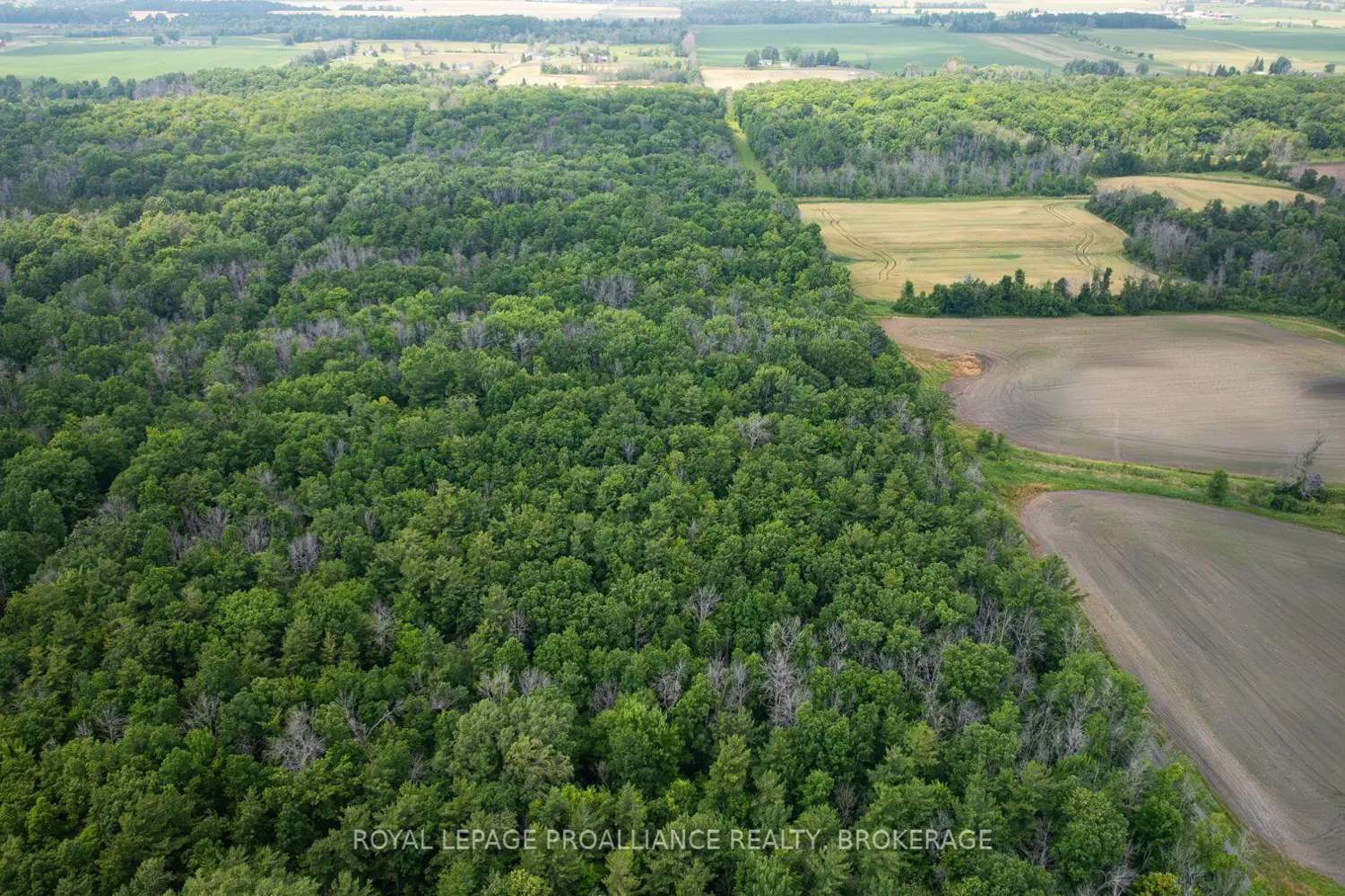 Additional image 4 of Lot C Townline Road