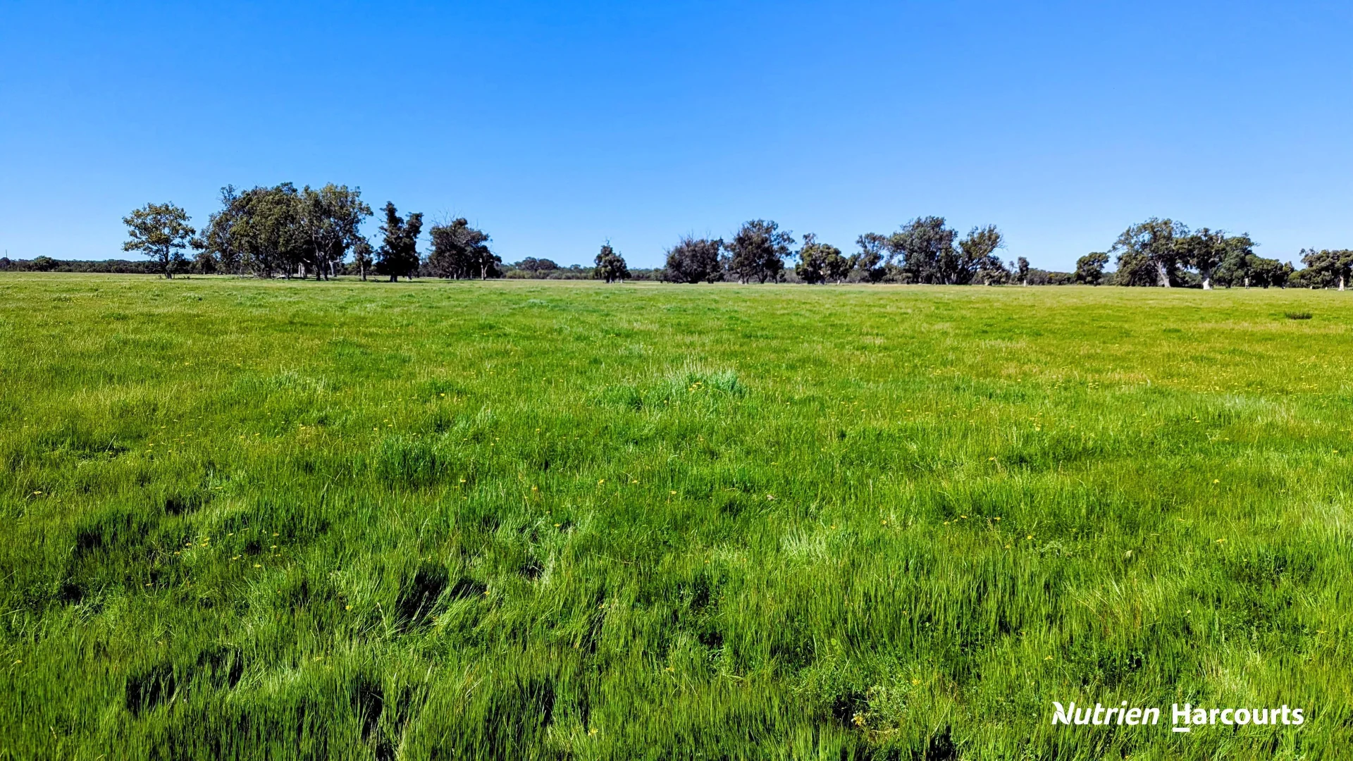 Additional image 20 of Lot 52 Cowalla Road, Cowalla WA 6503