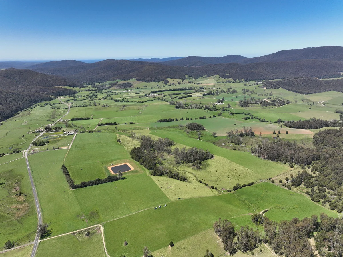 Additional image 25 of 569 St Columba Falls Road, Pyengana TAS 7216