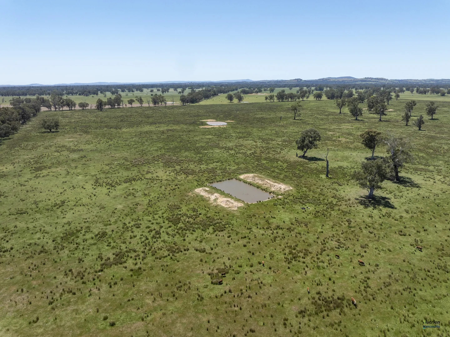 Additional image 14 of 12 Knight Road, Benalla VIC 3672