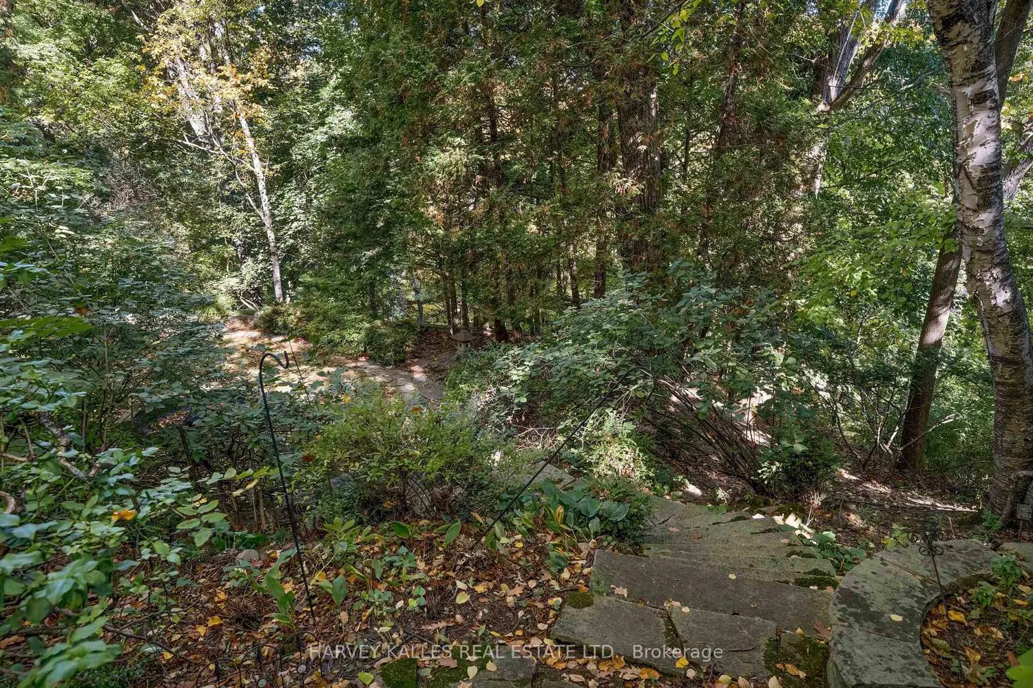 Additional image 9 of 7 Beaumont Road