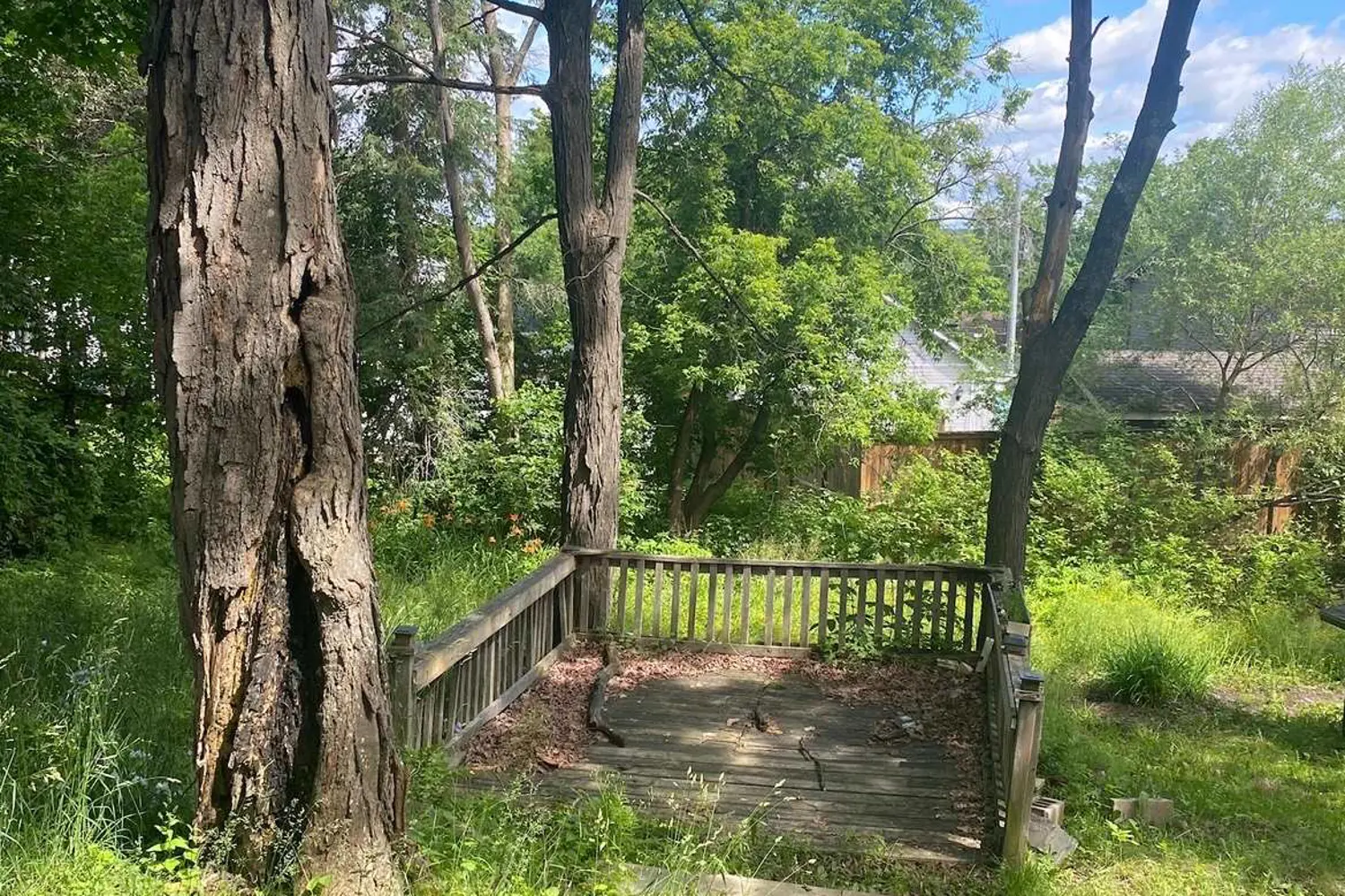 Additional image 15 of 16 Cora Street