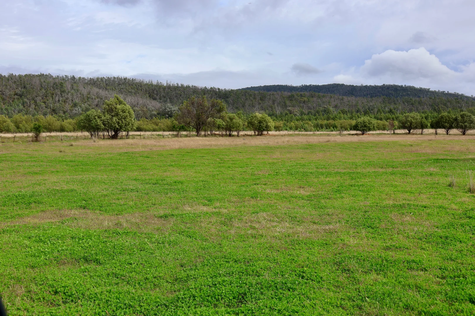 Additional image 21 of The Wilgas Cobbadah Road, Bingara NSW 2404