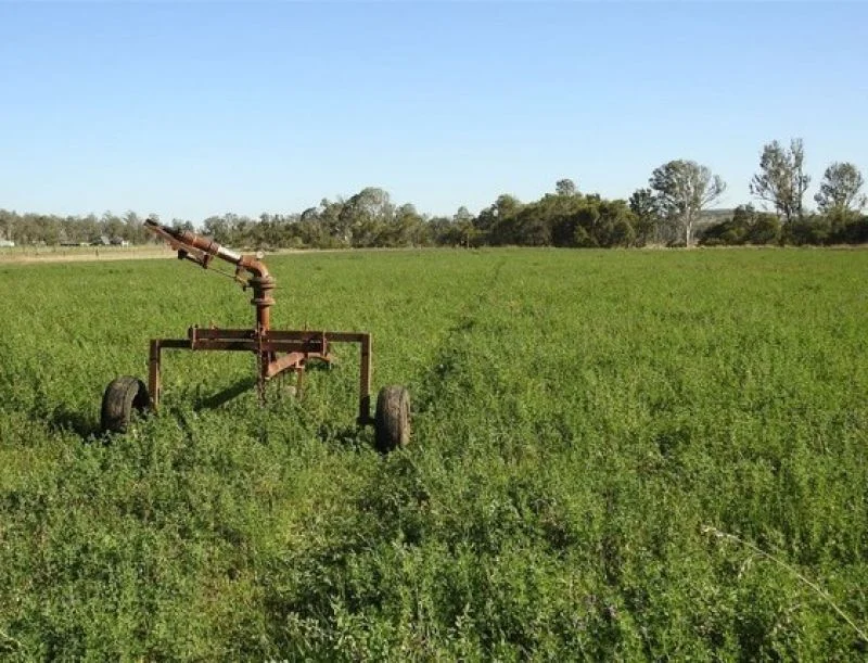 Additional image 7 of 206 Mondure Crossing Road, Glan Devon QLD 4615