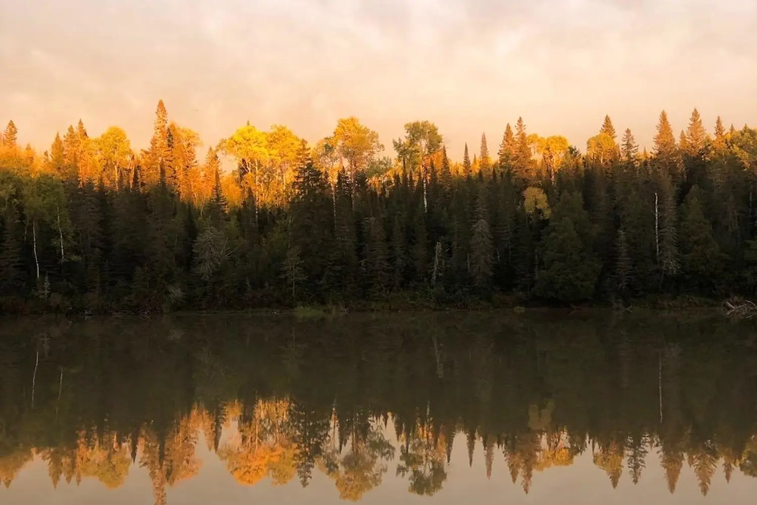 Additional image 3 of Pcl3840 N/A