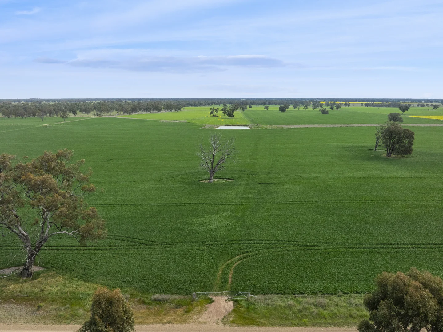 Additional image 3 of 800 Bridge Road, Caniambo VIC 3630