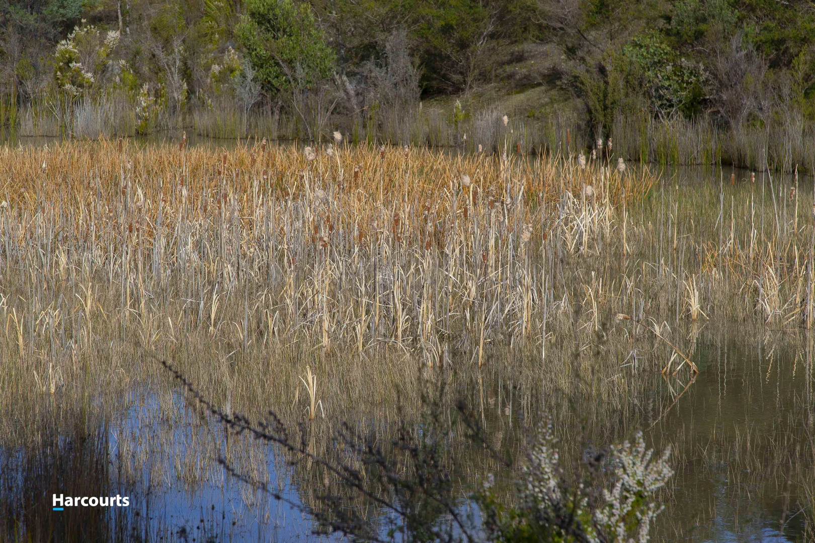 Additional image 13 of 623 Denison Road, Lonnavale TAS 7109