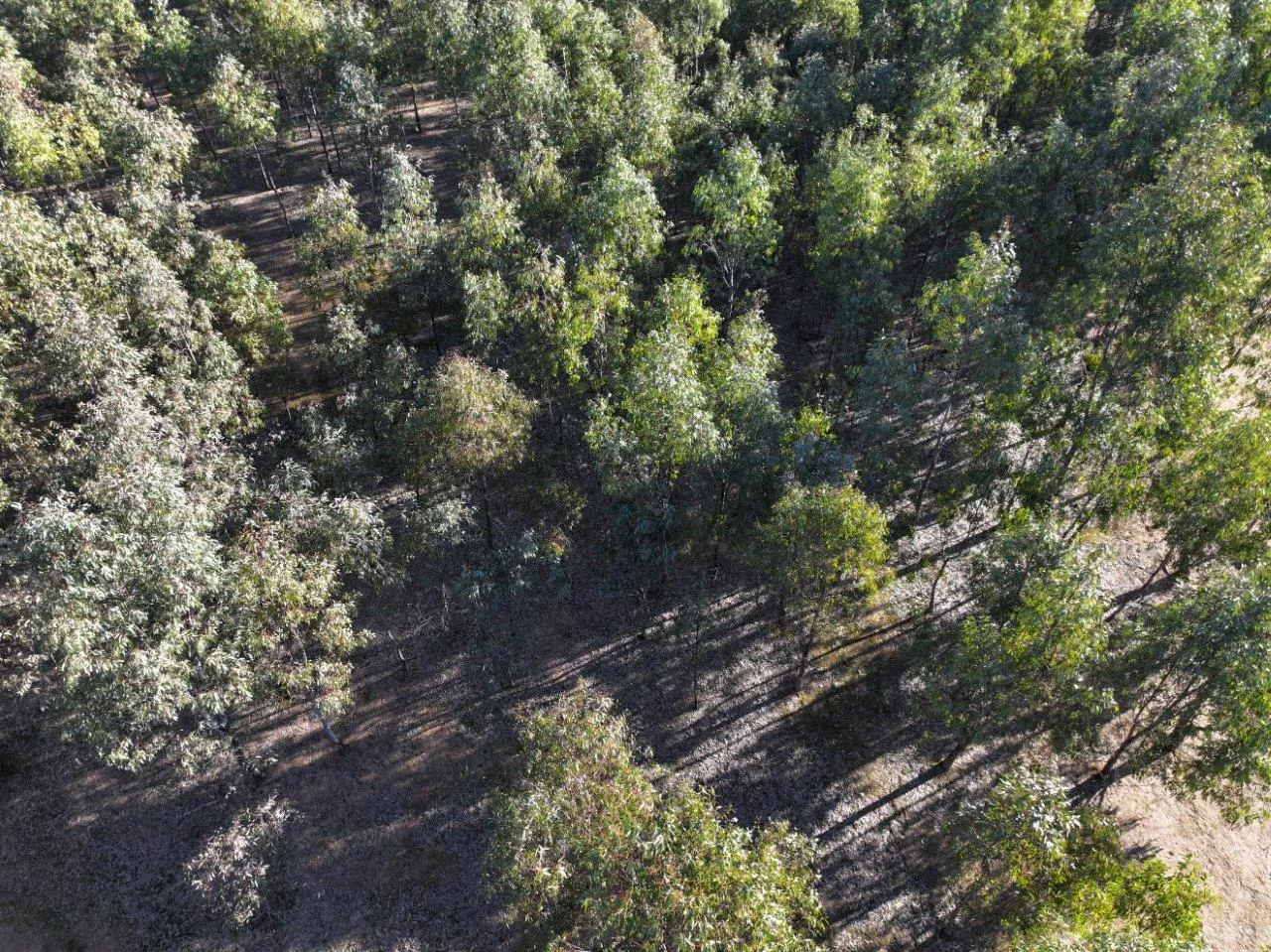 Additional image 7 of Langley Lane, McIntyre VIC 3472