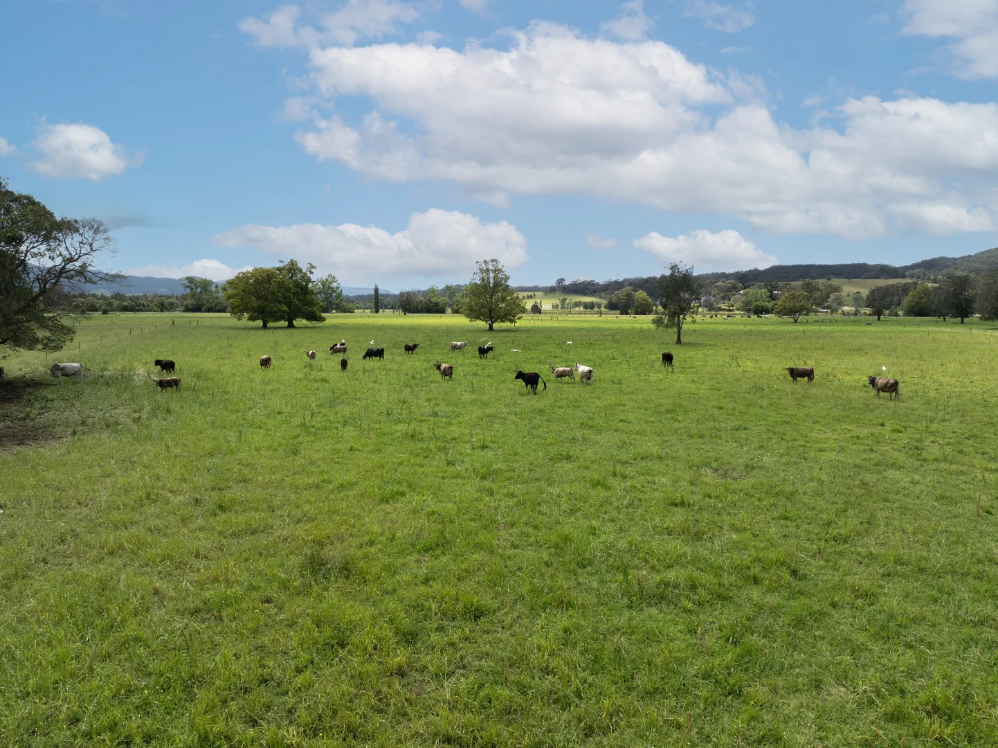Additional image 14 of 639E coolangatta road, Berry NSW 2535