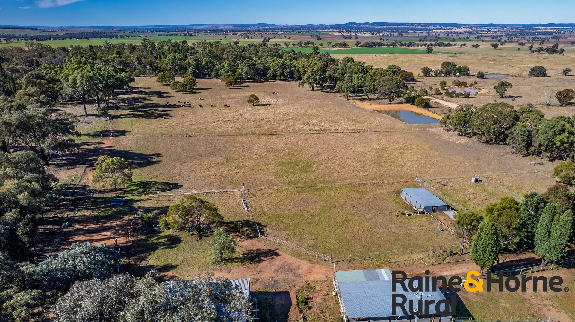 Additional image 2 of 502 Patrick Road, Dunedoo NSW 2844