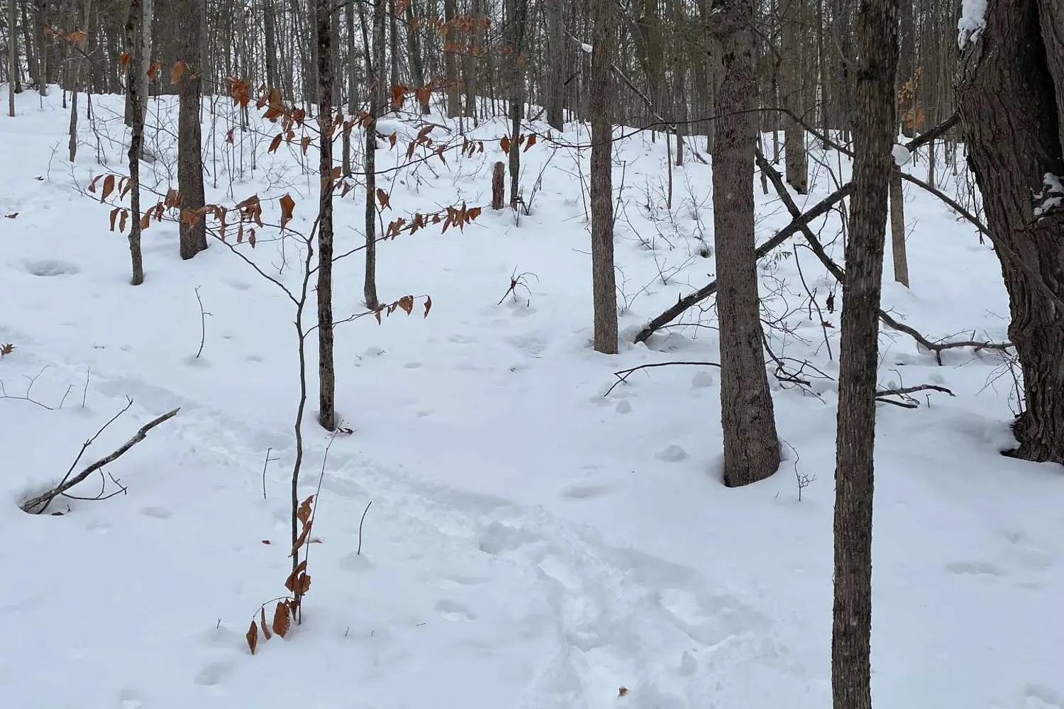 Additional image 5 of Ptlt 37 Trent View Drive