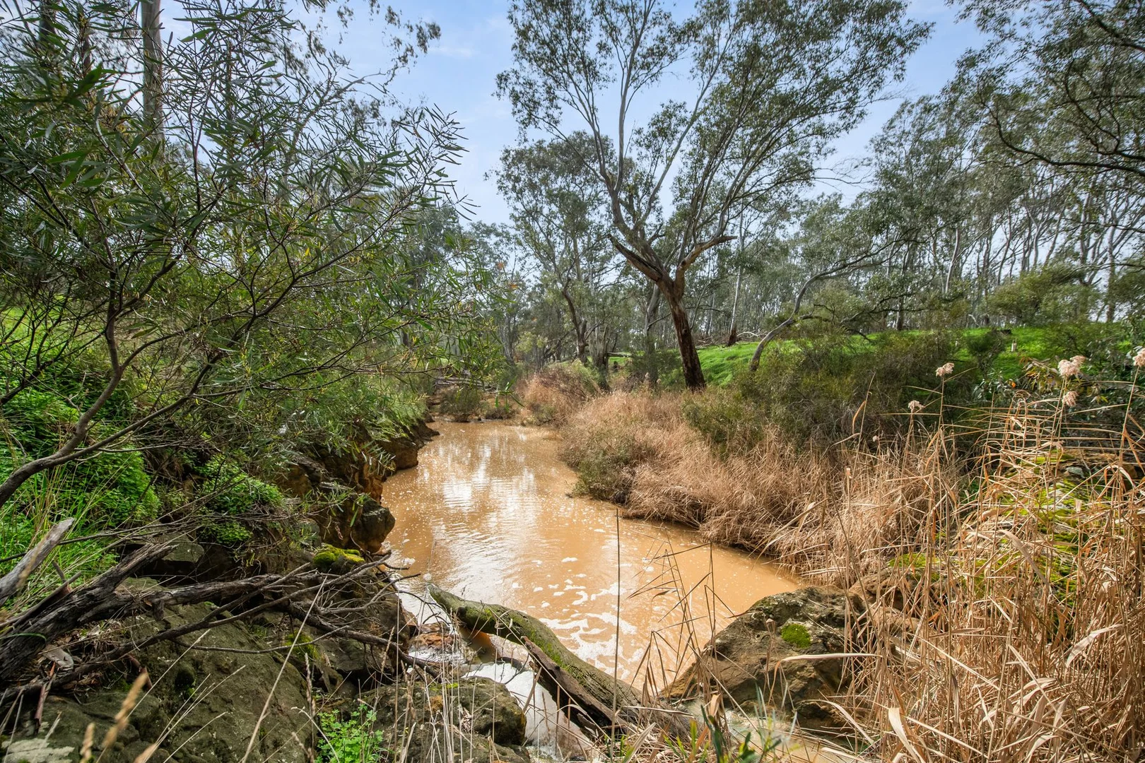 Additional image 23 of 199 Hodges Lane, Longlea VIC 3551