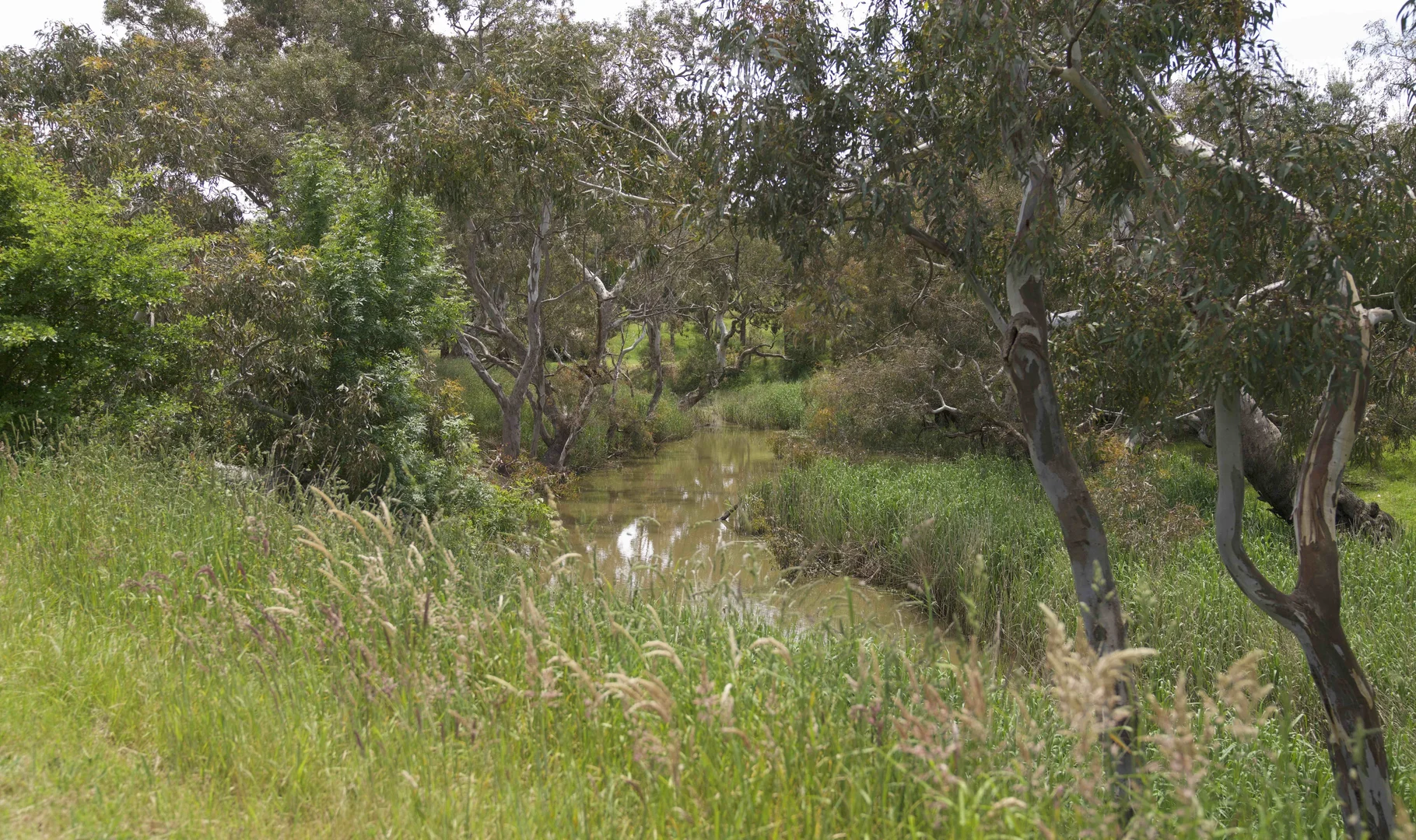 Additional image 3 of Wright Street, Skipton VIC 3361