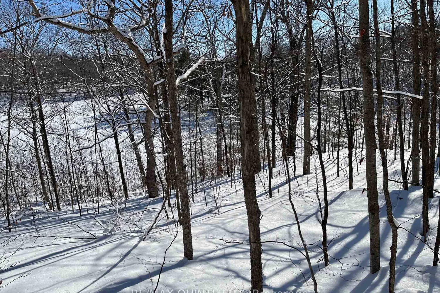 102 Attwood Lane photo 4