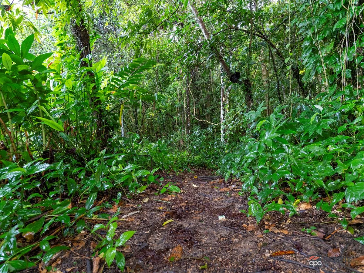 Additional image 4 of 34 Parry Street, Babinda QLD 4861