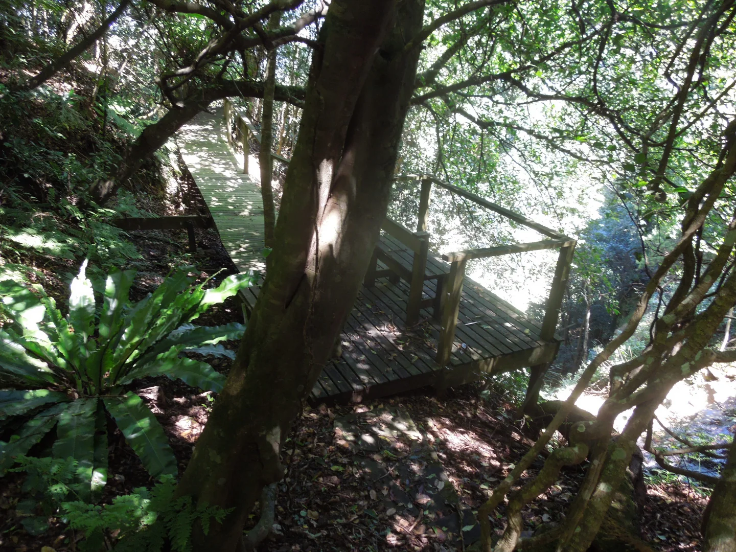 Additional image 7 of 589 Woodhill Mountain Road, Woodhill NSW 2535