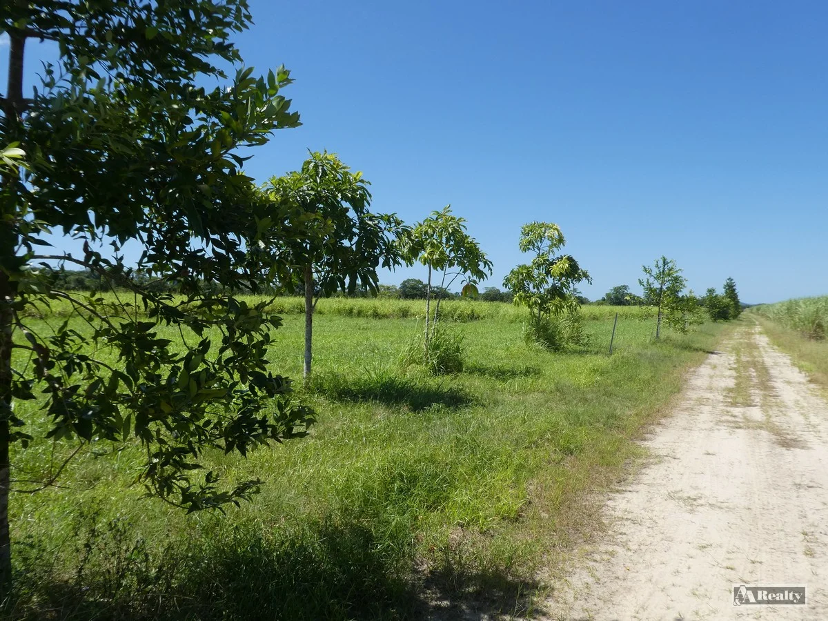 Additional image 9 of Lot 65 New Harbourline Road, New Harbourline QLD 4858