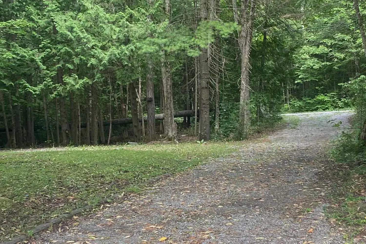 Additional image 4 of 94 Everett Road