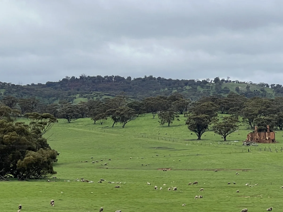 Additional image 7 of 76 Goomalling-Toodyay Road, Dumbarton WA 6566