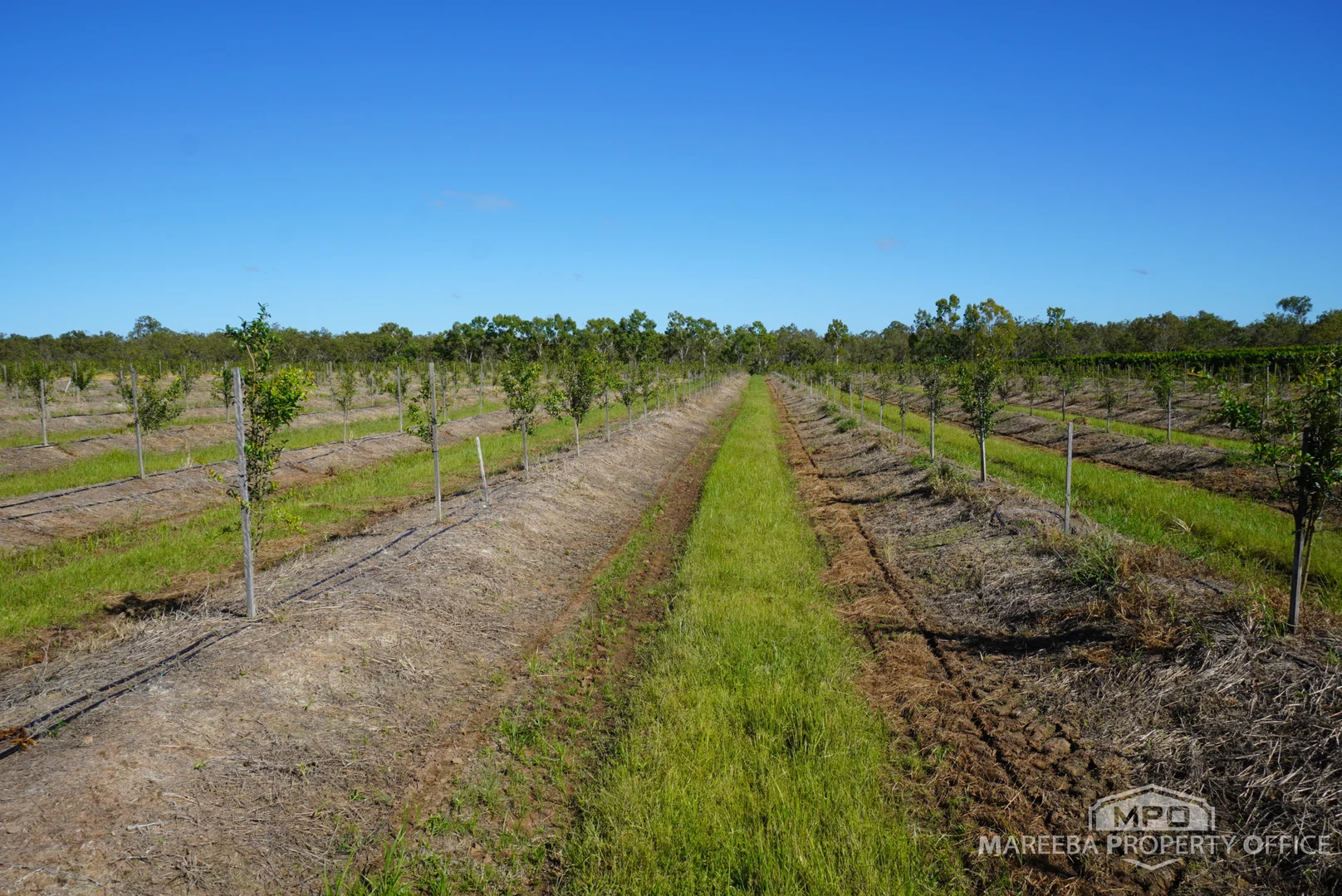 Additional image 16 of 446 Chewko Road, Mareeba QLD 4880