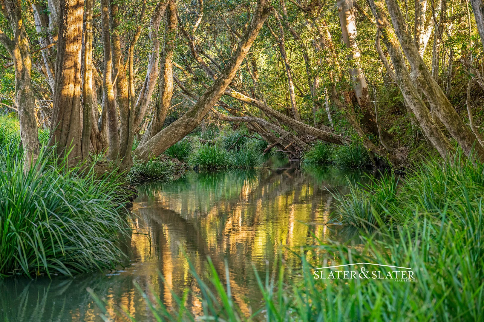 Additional image 7 of 1216 Bellangry Rd, Bellangry NSW 2446