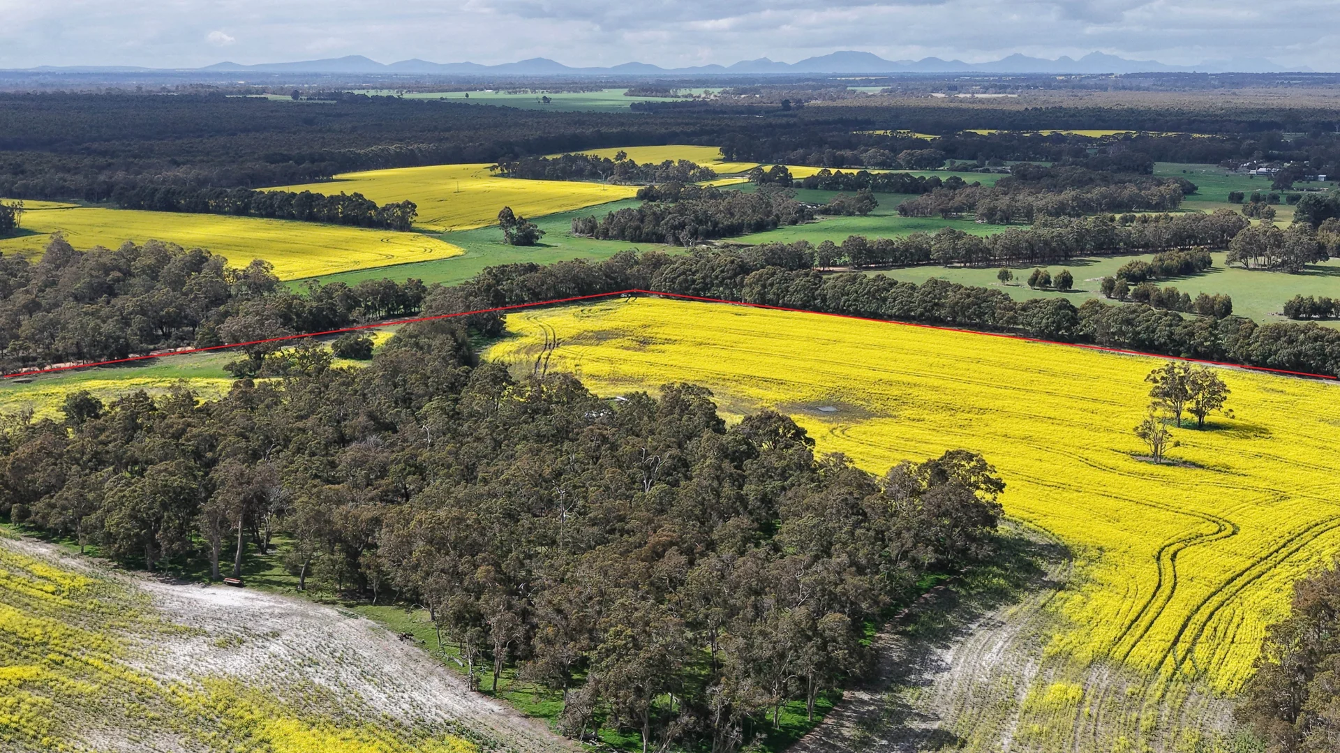 Additional image 13 of 171 Kwornicup Road, Forest Hill WA 6324