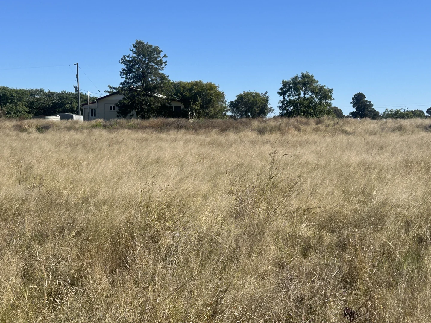 Additional image 31 of 4921 Meandarra Condamine Road, Meandarra QLD 4422