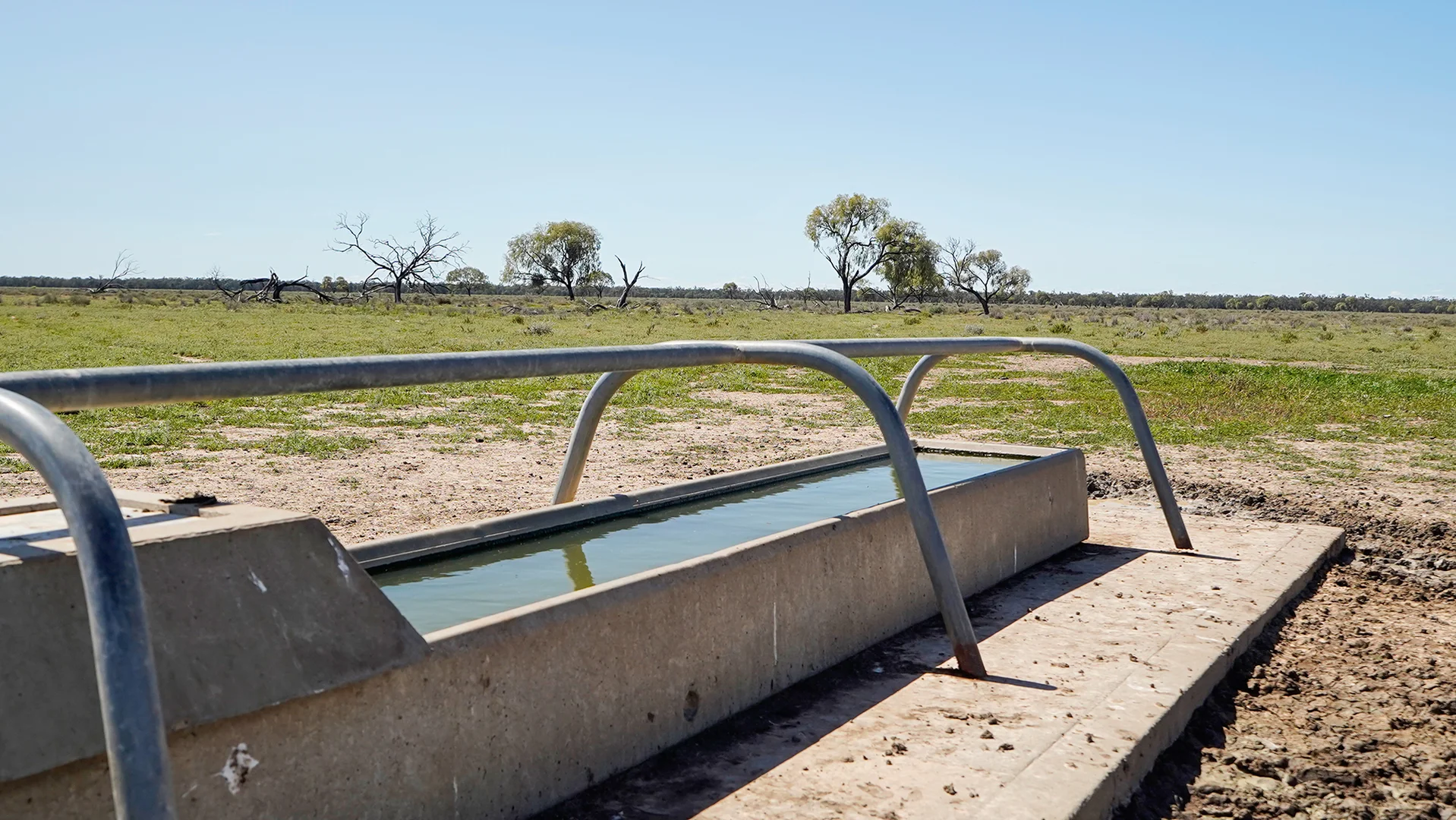 Additional image 17 of 1378 Keewong Lane, Coonamble NSW 2829