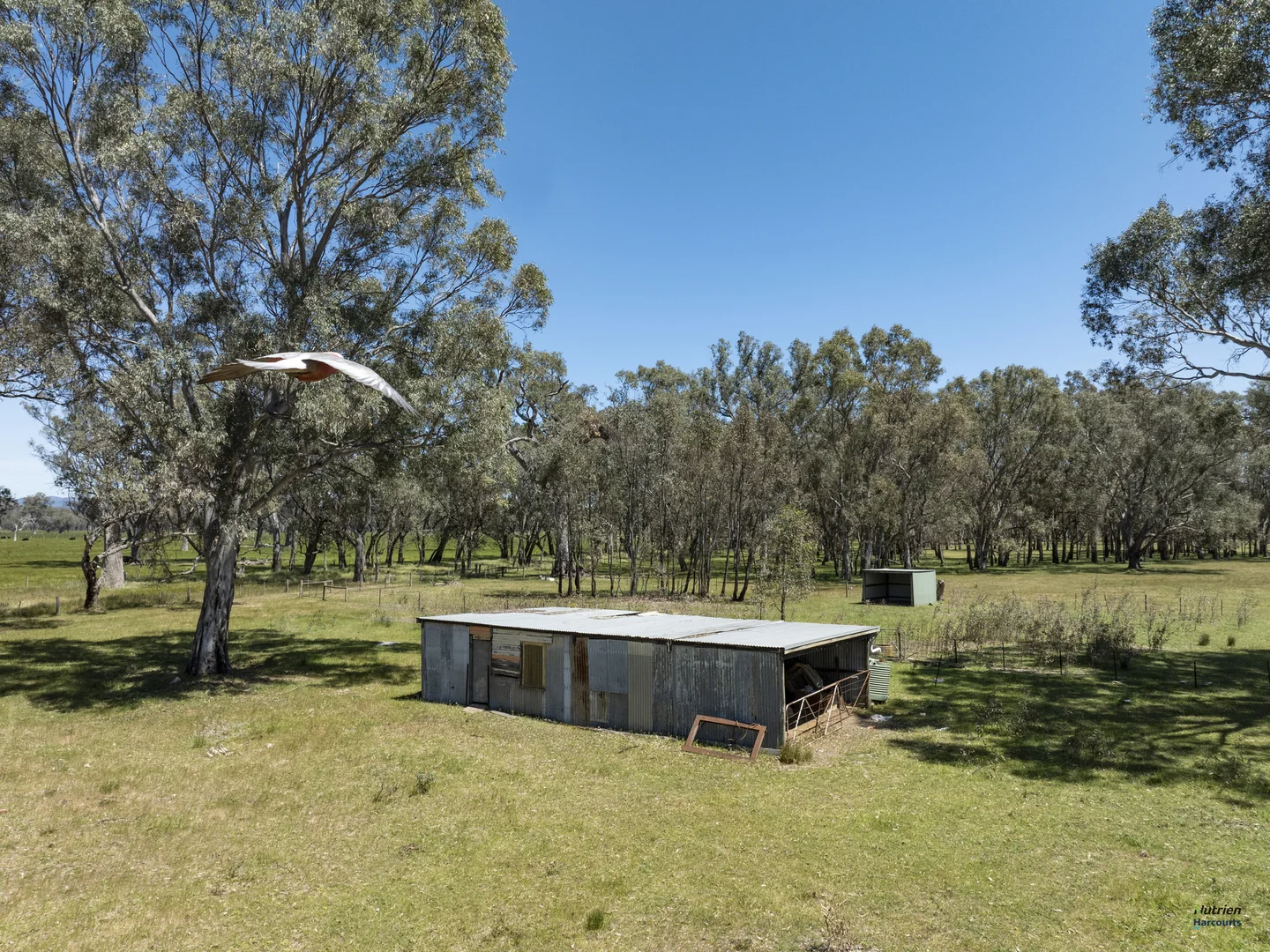 Additional image 11 of 12 Knight Road, Benalla VIC 3672