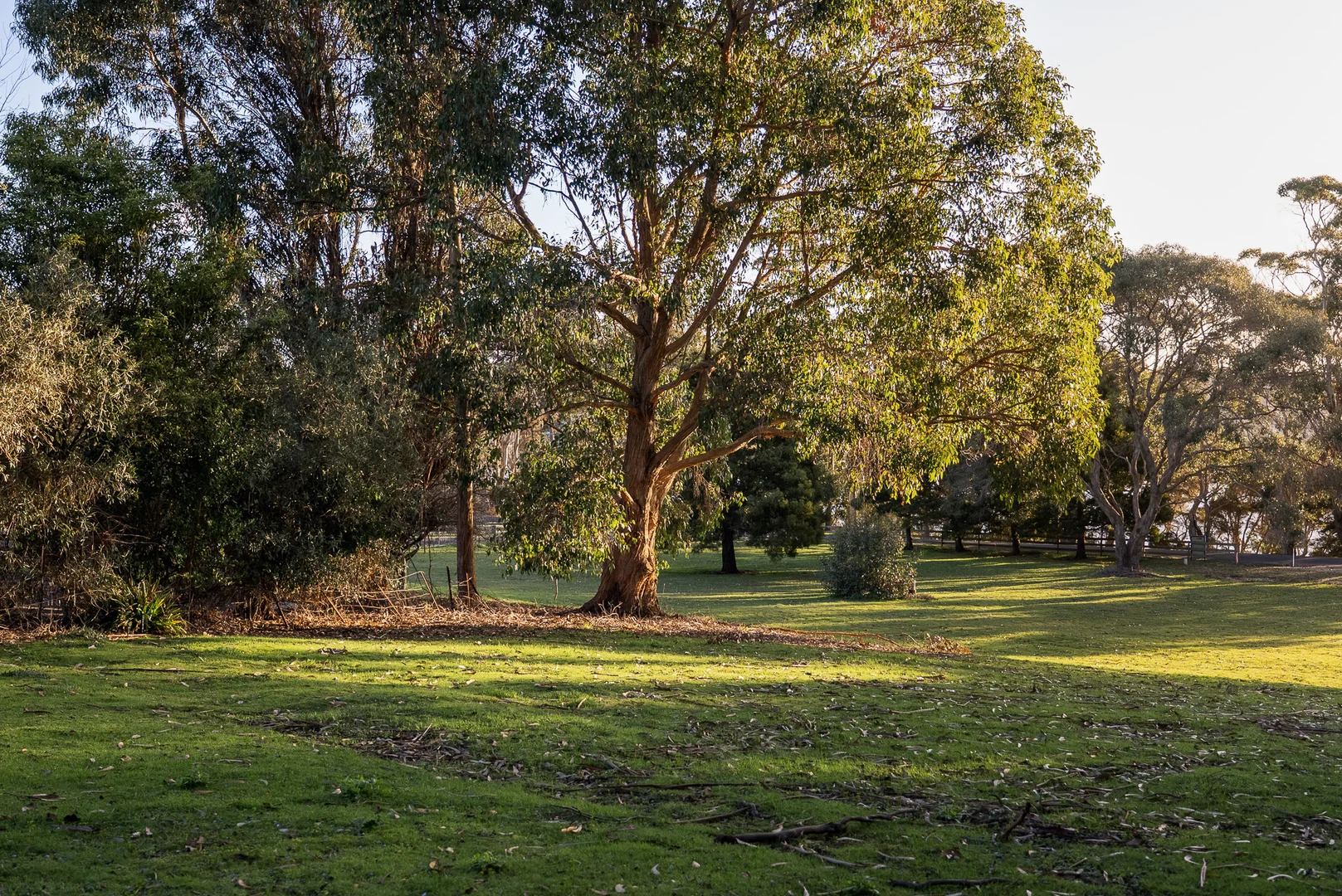 Additional image 31 of 9 Dry Street, Leith TAS 7315