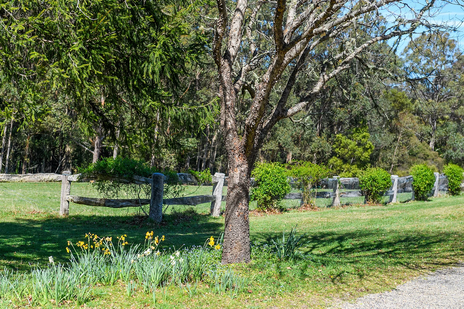 Additional image 24 of 51 & 53 Shierlaw Road, Robertson NSW 2577