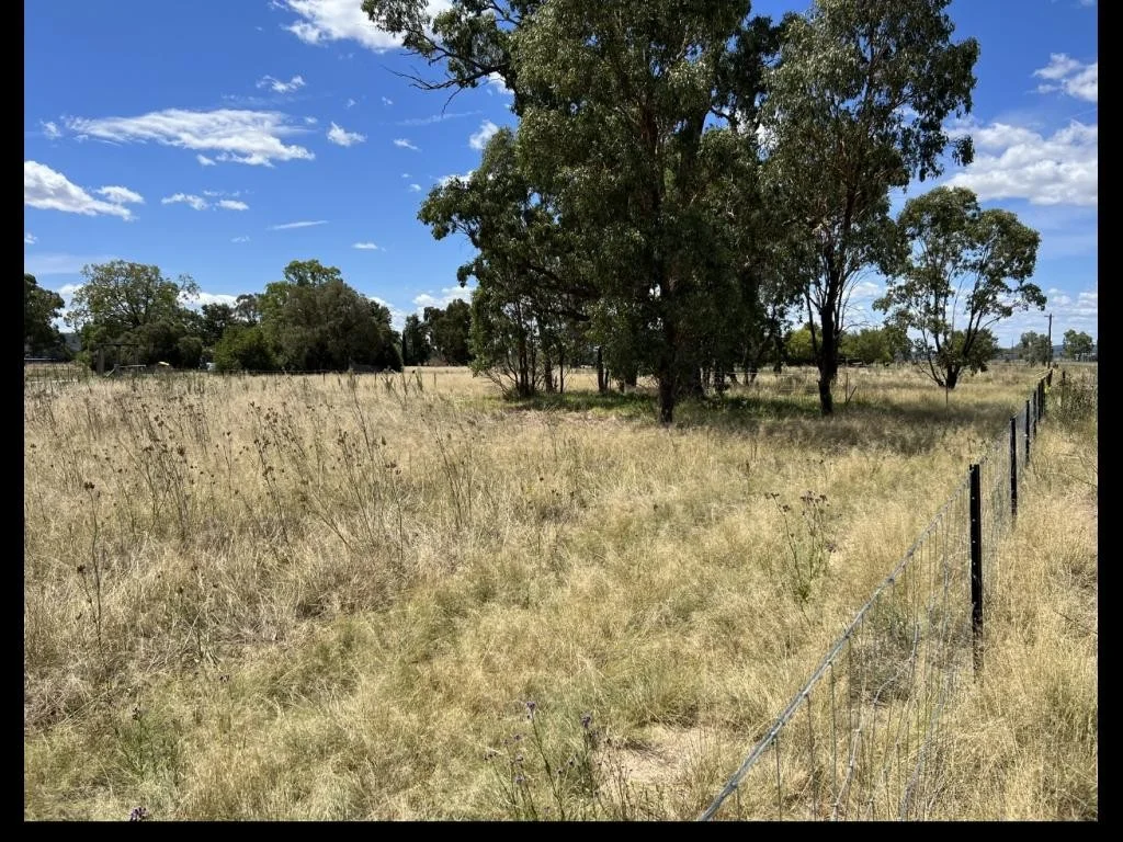 Additional image 12 of 9/7 Pezzutos Road, Colly Blue NSW 2343