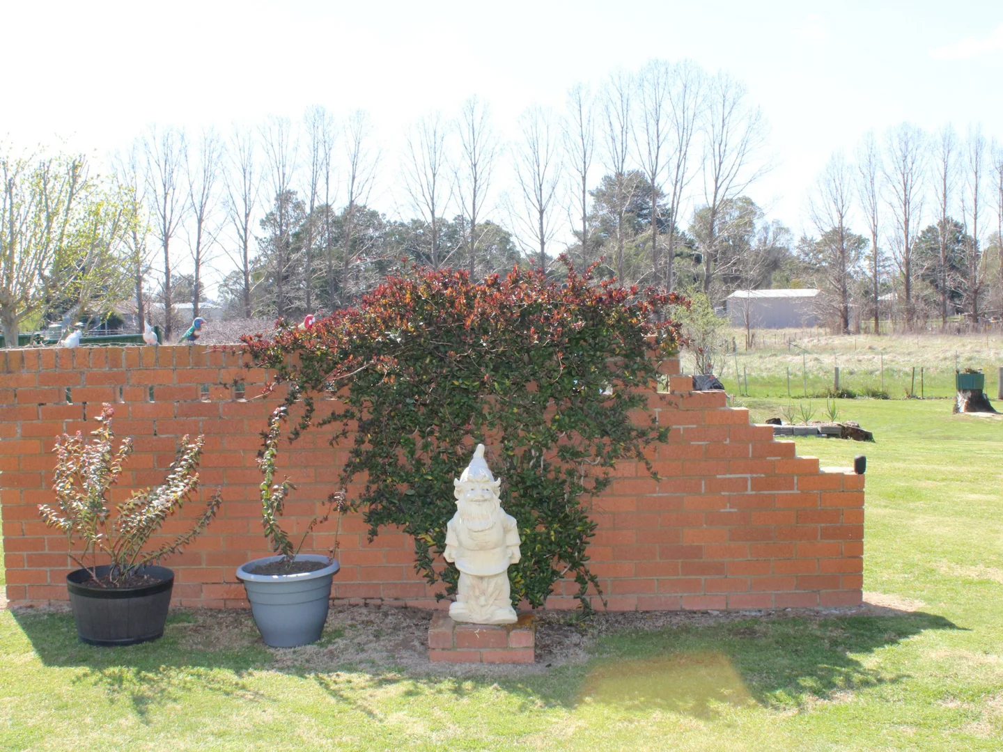 Additional image 12 of 14 Railway Street, Glencoe NSW 2365