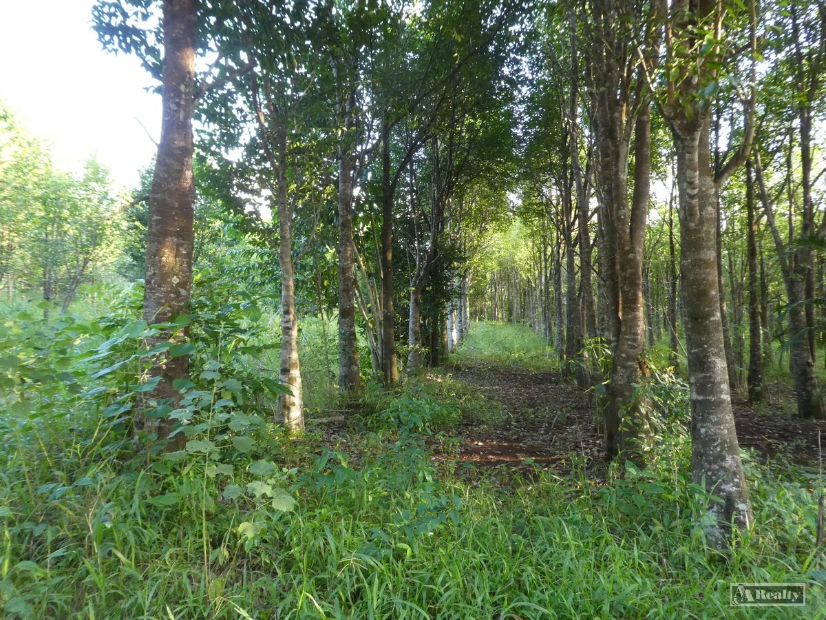 Additional image 8 of L15 Broccardo Road, Garradunga QLD 4860