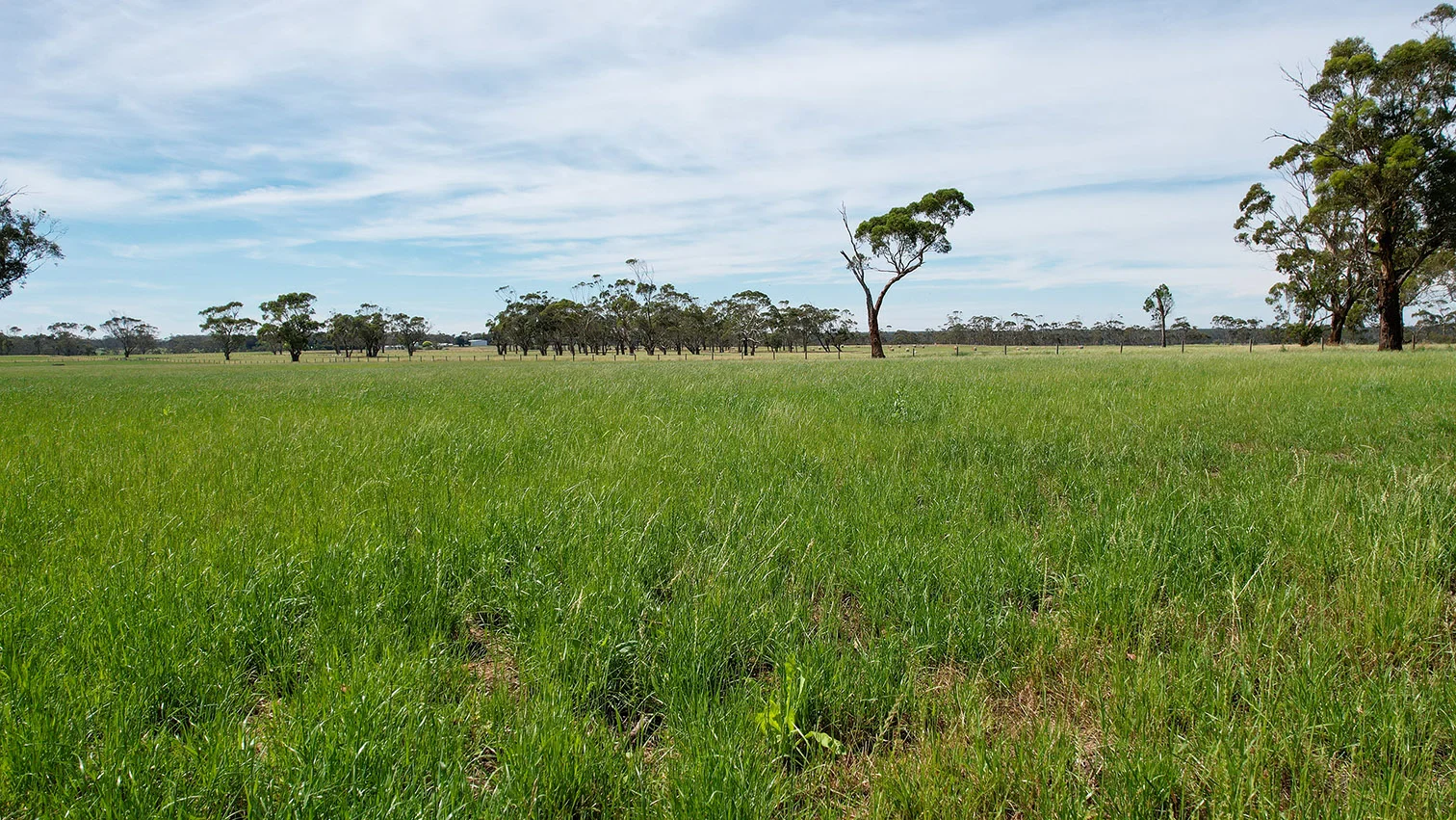 Additional image 20 of 211 Rollos Road, Panmure VIC 3265