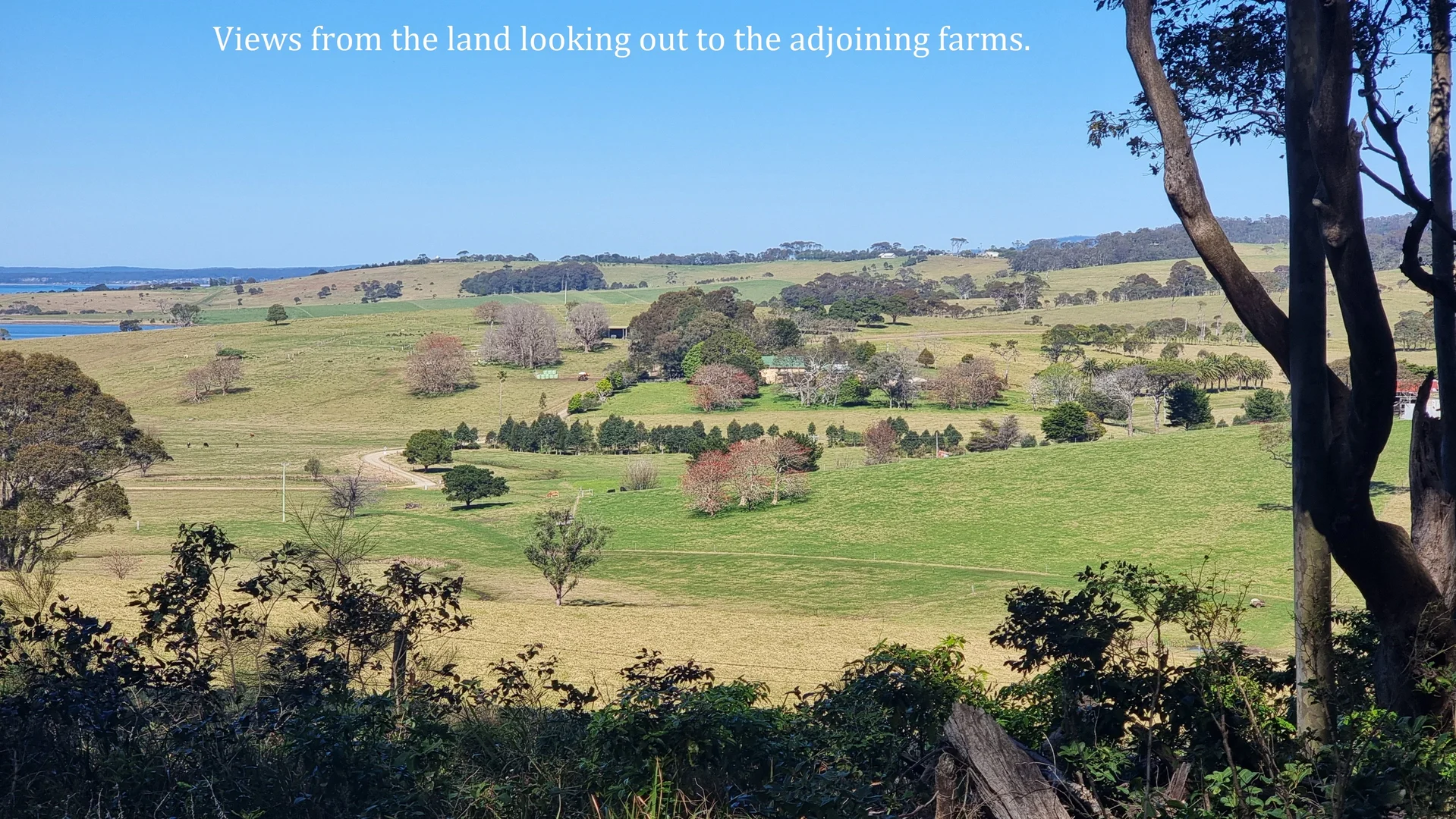 Additional image 6 of 16 Mystery Bay Road, Mystery Bay NSW 2546